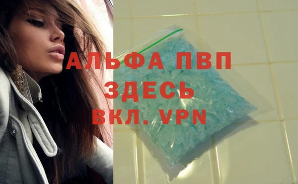 индика Белоозёрский