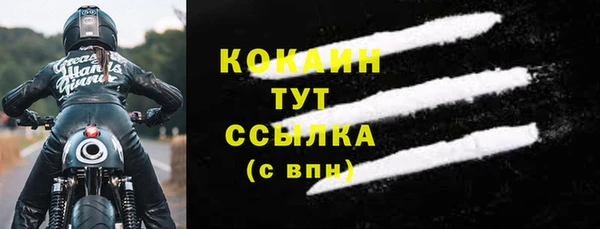 индика Белоозёрский