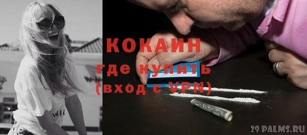 индика Белоозёрский