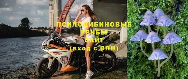 индика Белоозёрский