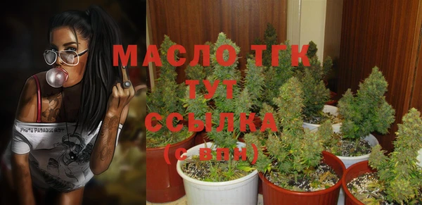 индика Белоозёрский