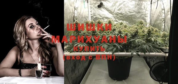 индика Белоозёрский