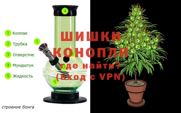 марихуана Белокуриха