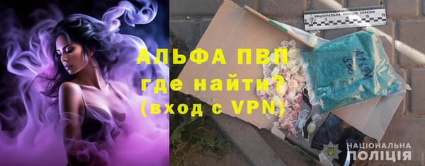 индика Белоозёрский