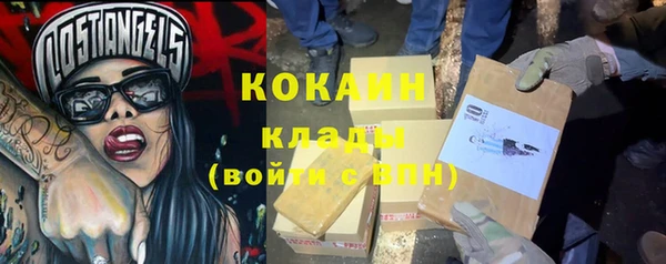 индика Белоозёрский