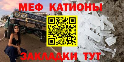 PSILOCYBIN Бийск