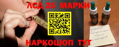 МДПВ Бийск
