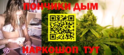 МДПВ Бийск