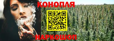 МДПВ Бийск
