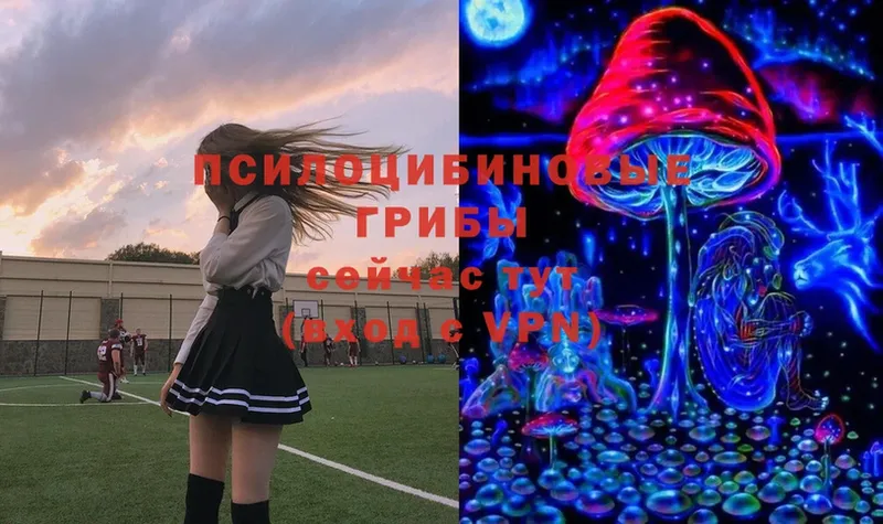 Псилоцибиновые грибы Magic Shrooms  Гусев 