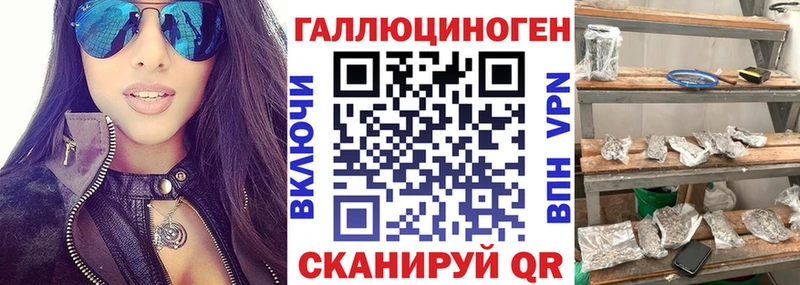 Псилоцибиновые грибы Magic Shrooms  блэк спрут вход  Гусев  закладка 