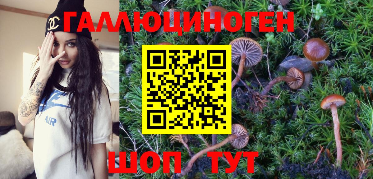 Галлюциногенные грибы прущие грибы  Гусев 