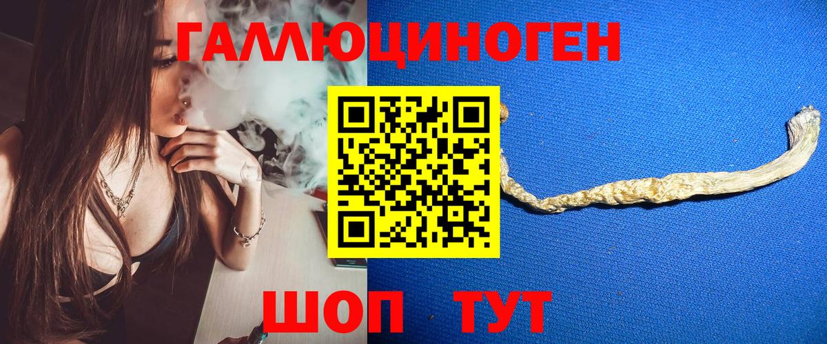 Галлюциногенные грибы Cubensis Гусев
