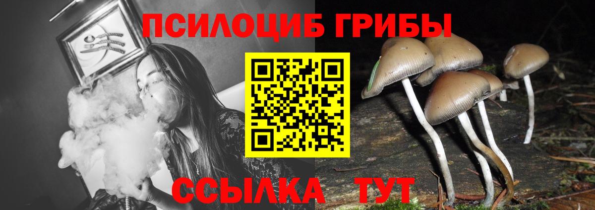Гусев  Галлюциногенные грибы MAGIC MUSHROOMS  как найти закладки  Вход с VPN 