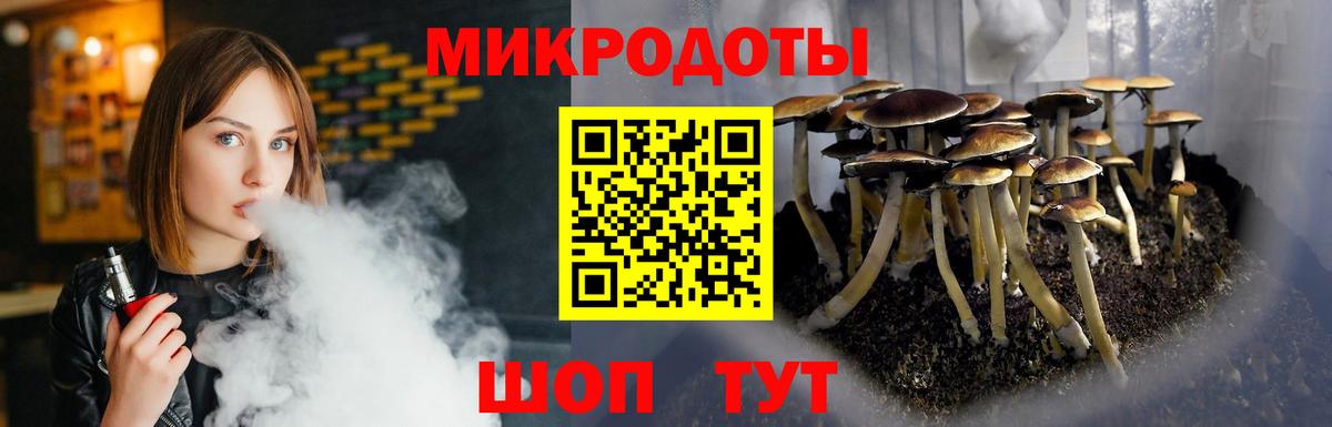 А ПВП Гусев