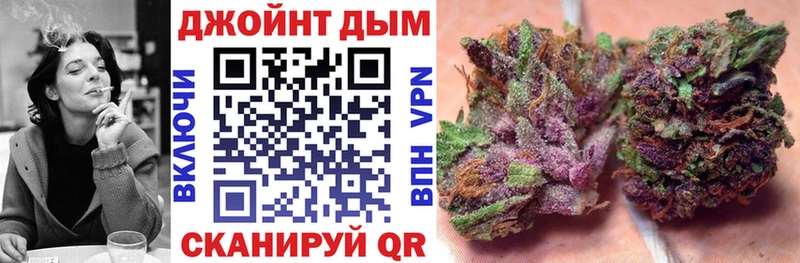 Бошки Шишки план  Гусев 